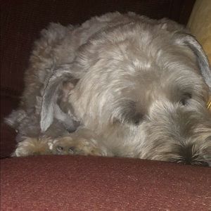 Meet your Posher, Jackie